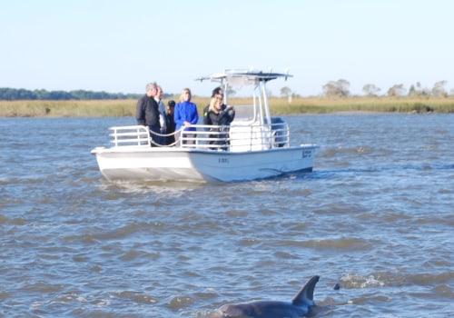 A Charleston Adventure: Dolphin Tours For The Ultimate Boat Tour Experience