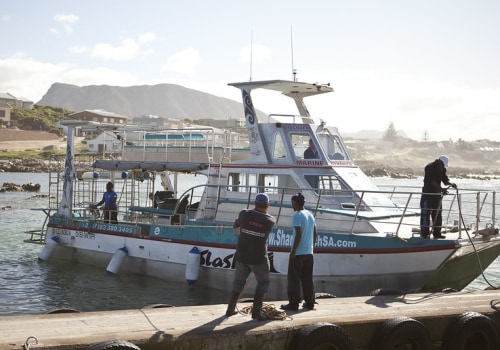 Cage Diving With Sharks On Oahu: A Thrilling Boat Tour Experience